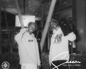 Don Edward & Xduppy – Skeem Saka ft. Stay C & Senjay
